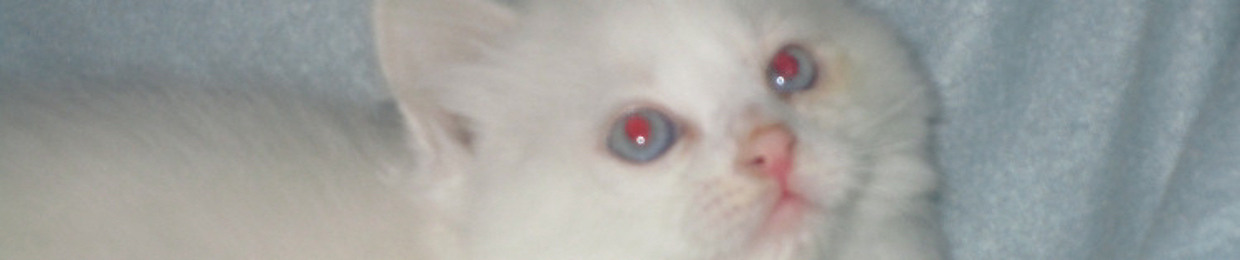 Cece’s Baby Soft