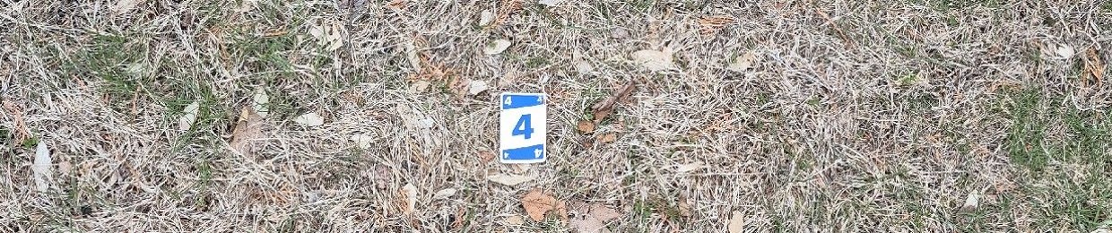 3S8