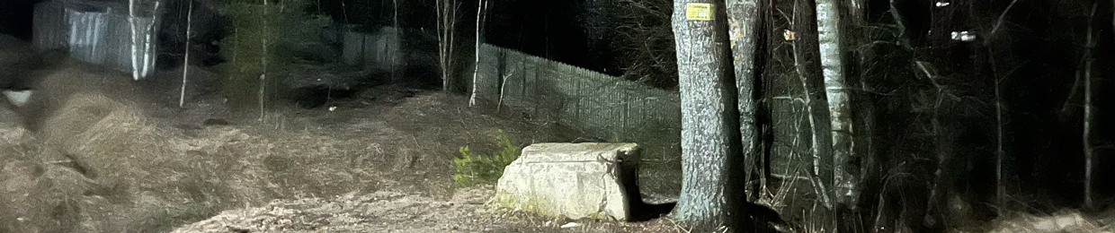 pluxury💼питер мой некрополь