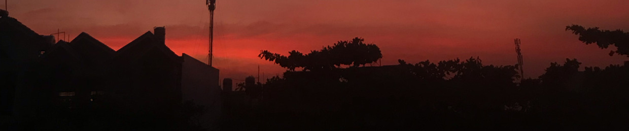 Mèo Tắc Kè