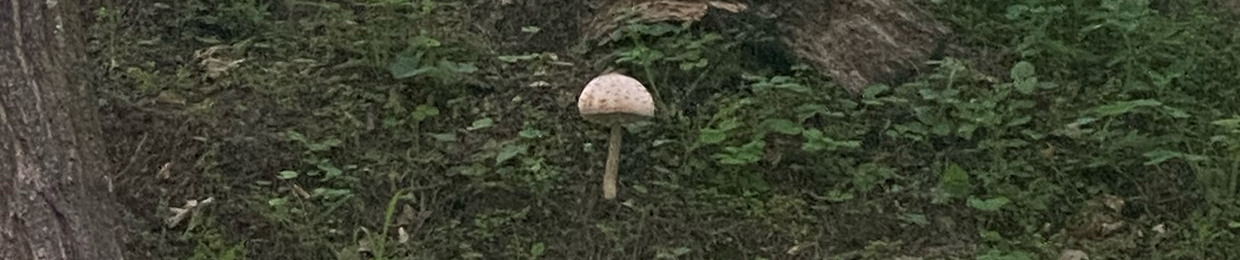 pusto.tta