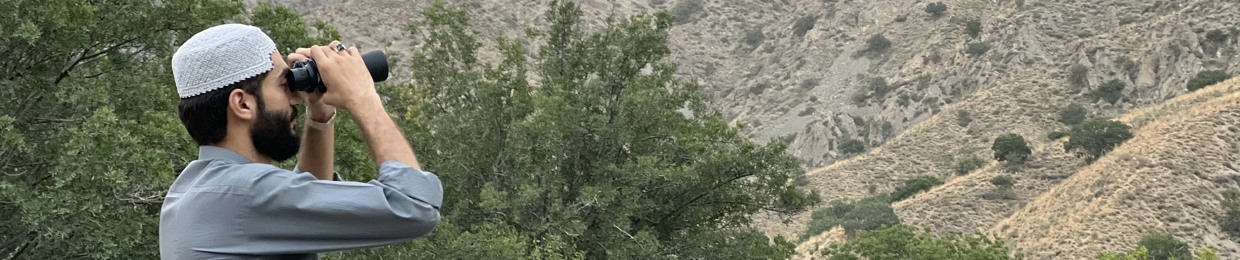 Sohaib Bangulzai