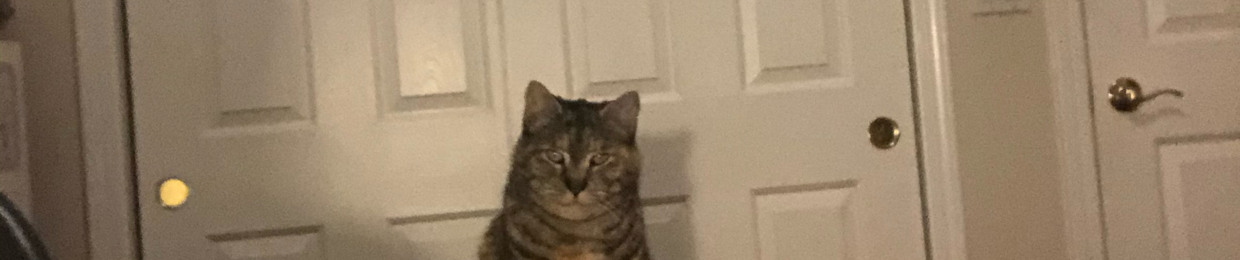 Mie