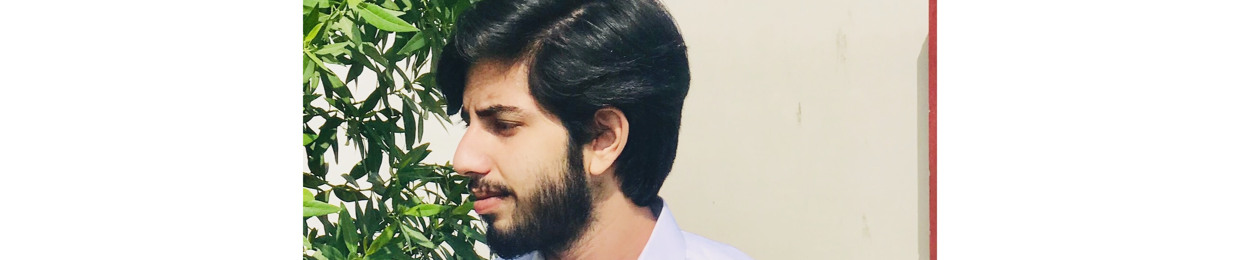 Hassan Malik