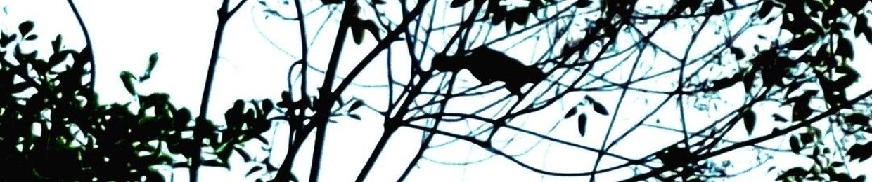 ♧♡ 𝔍 𝔘 𝔍 𝔘 ♡♧