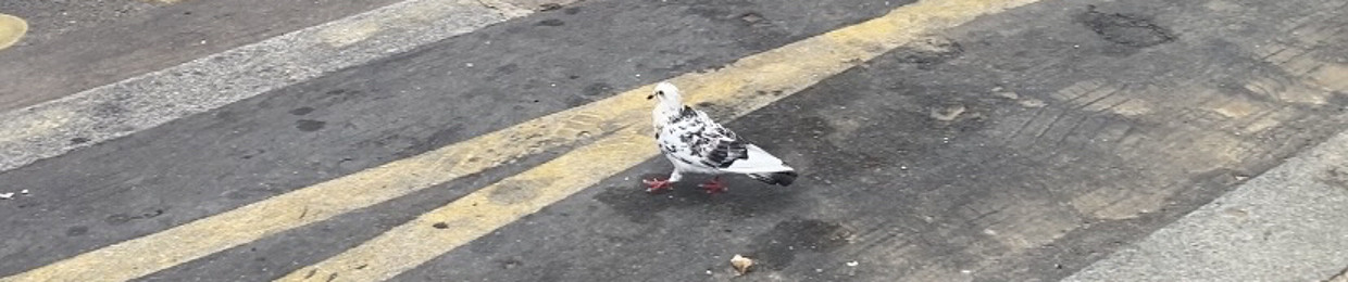 pepa