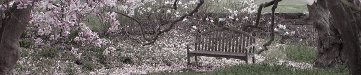 пачка сигарет