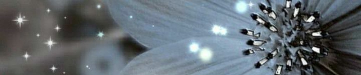 𝘚𝘵𝘹𝘳𝘥𝘖𝘴𝘵