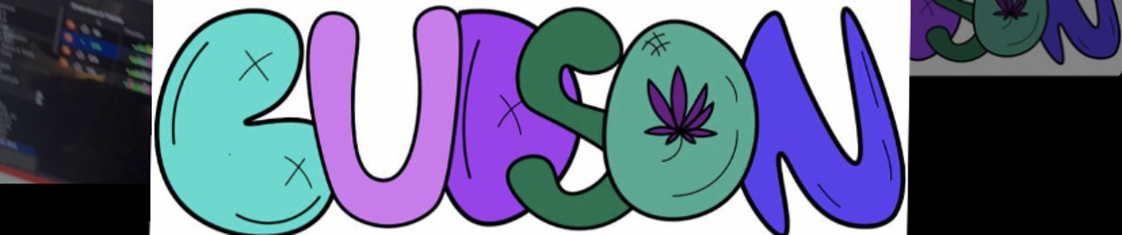 Budson