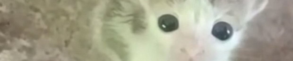 Ghosdeeri