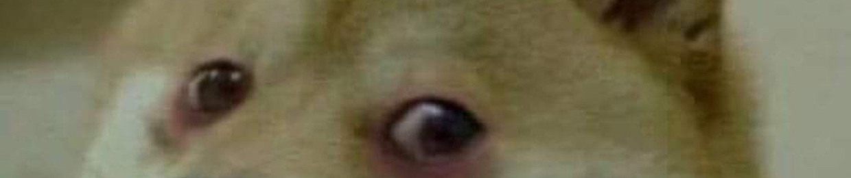 Dead Dog