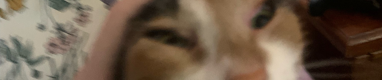 CThruTJ