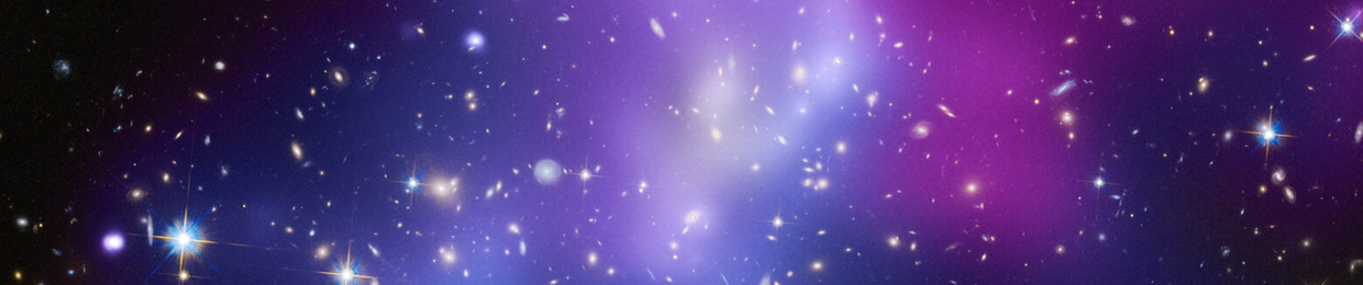 Star’s Collective