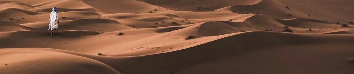 محمد جميل عابد
