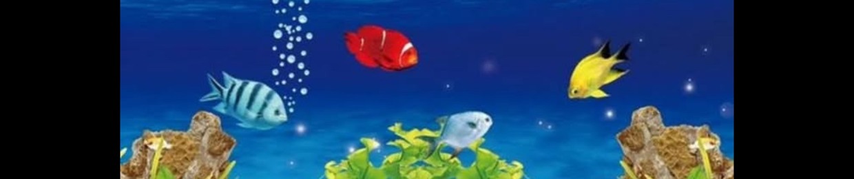 JimiEvolve