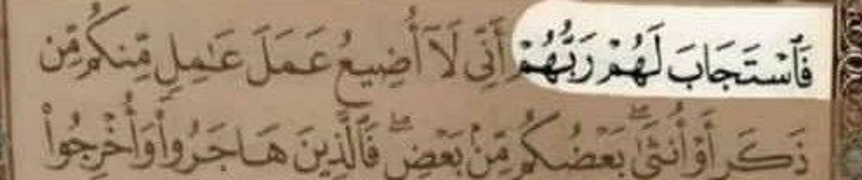 3treby ✨🤍