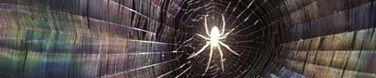 BluBinBlack🚶🏽‍♂️ (KB✰)