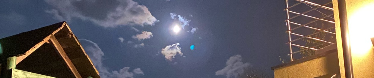 ❤️Wikusiaxssxwwwx❤️