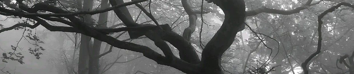 ᛉ