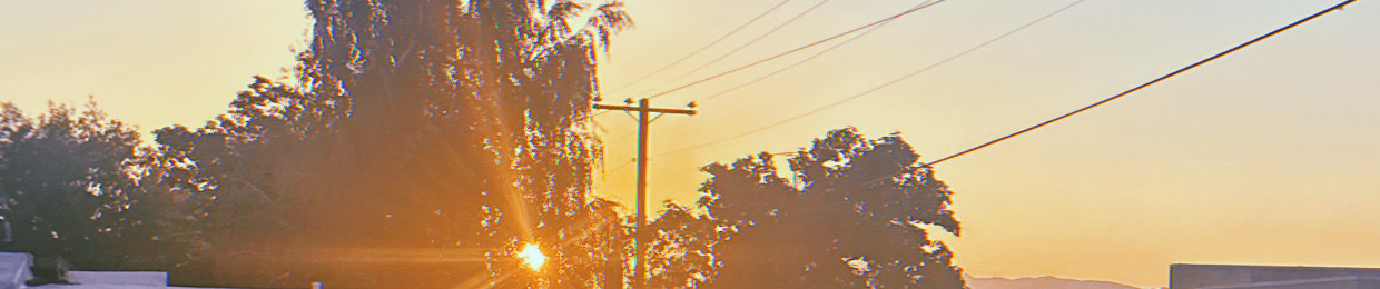 IV