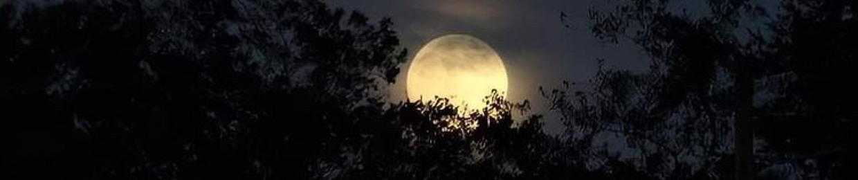 moonaudios_