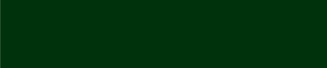 AVOIZE