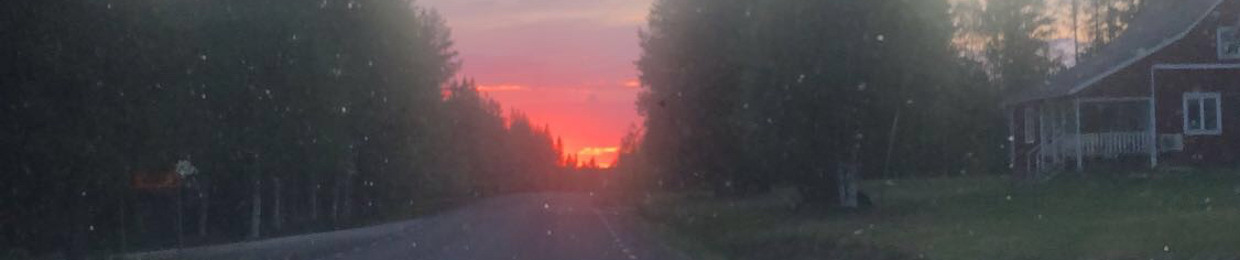 Juli Holmström🏖️