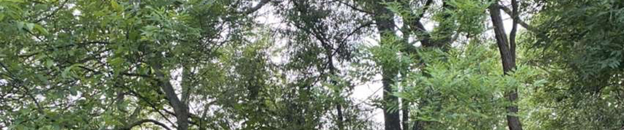 TeKhole