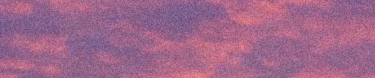 808 netro