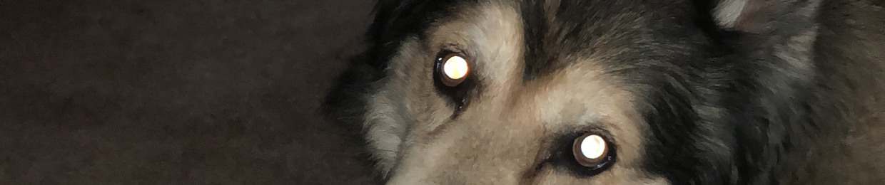 kaiser