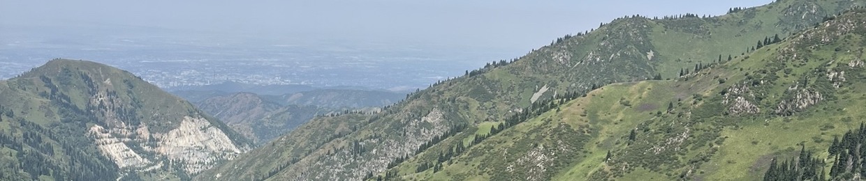 isuce