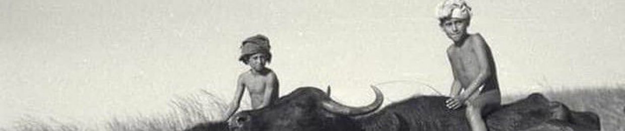 سجاد جبار