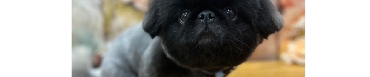 Kaori Kiryu / InV4dER