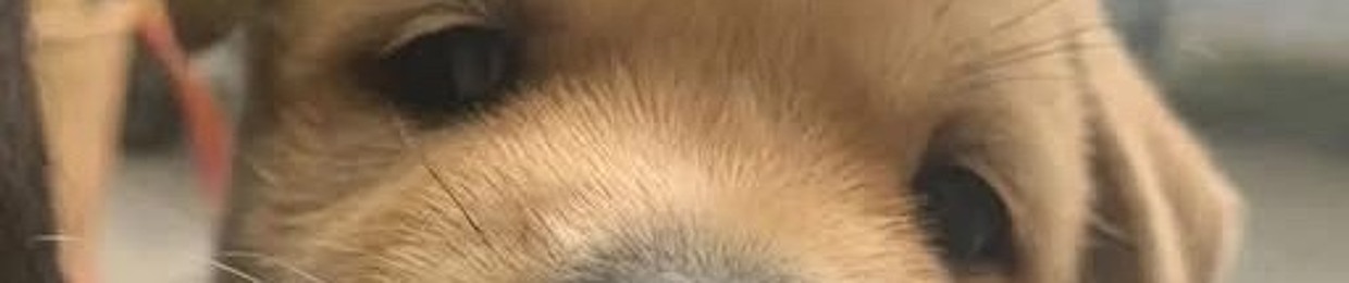 Cao Tuongw✈️🔥