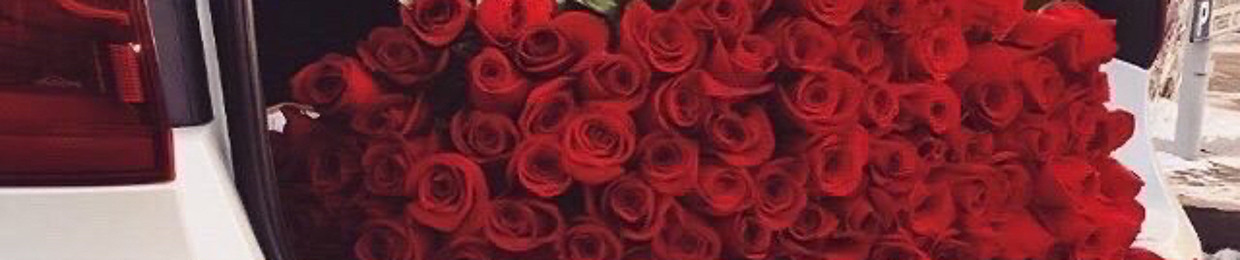 Ammar_Alk