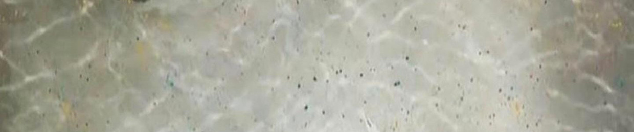 L.V.S.679