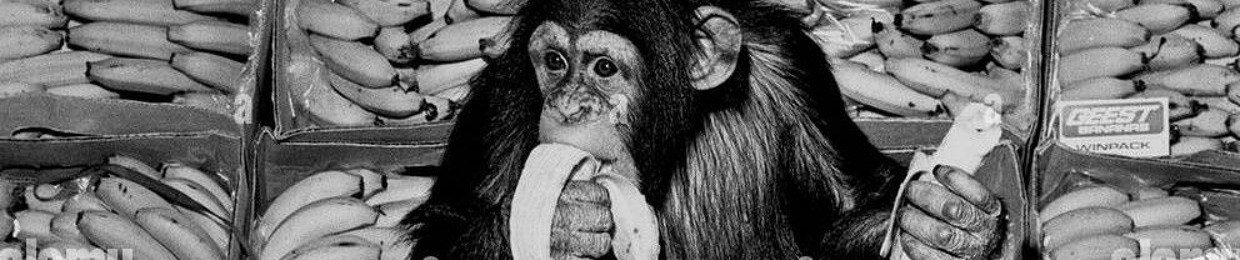 banana_monkey