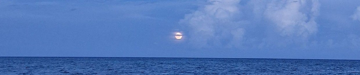 Diego Guerrero Florido