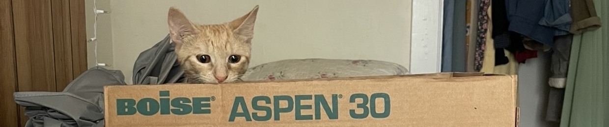 thematernityleave'ssecretlair