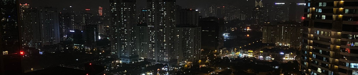 Nguyễn văn Dũng 29