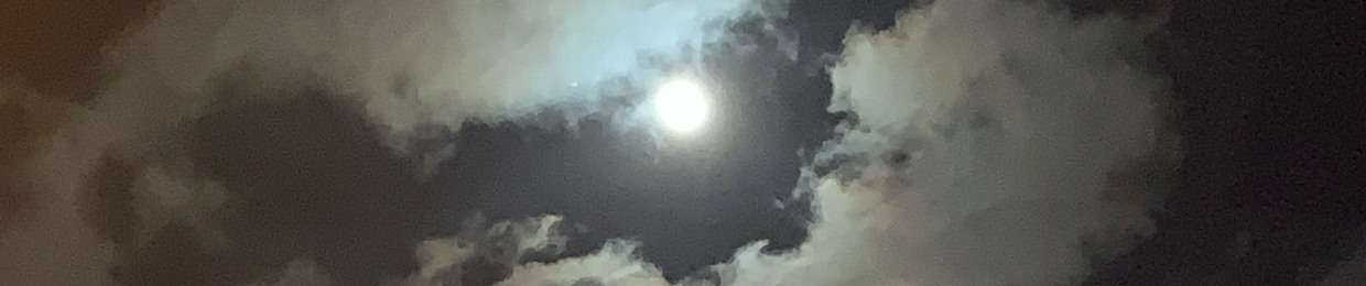 ~Just_Someone_Random~