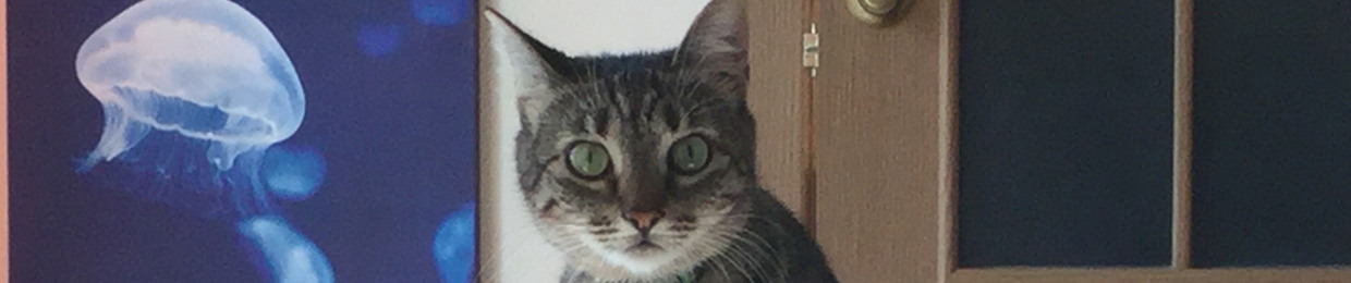 D.G.