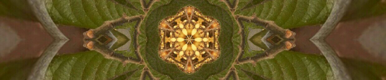 Experimental Element