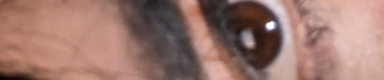 FVCKDINO a. k. a Juan Gabriel