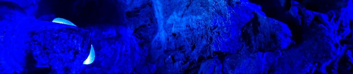 流星のエグザ