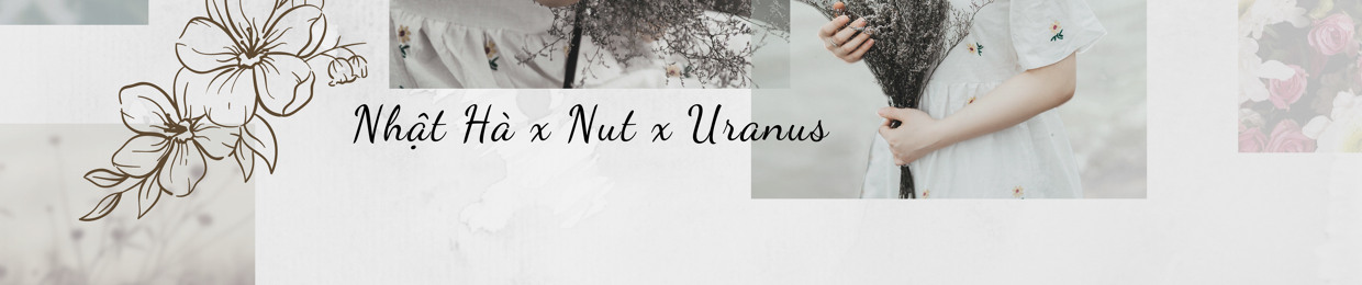Nut (vuonghoaii)