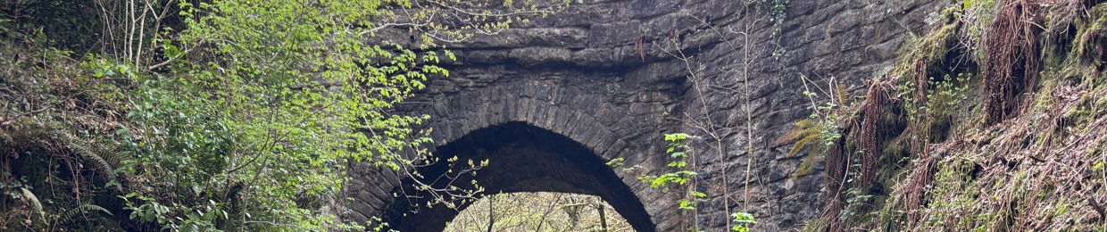 Treeve