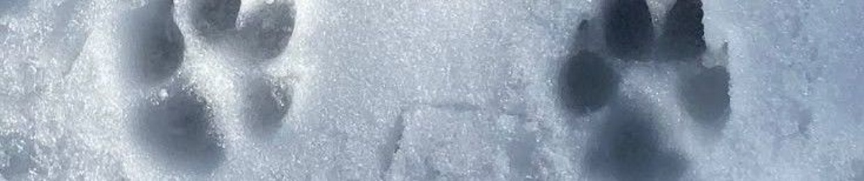 โโขยฐ๐ถ๐พ๐๐ฒ๐ญ๐ญ๐ถ/โ๐ฌ๐ ๐จ๐ถ ๐พ๐ถยฐโขโ (๐ชฑโน๏ธ๐ผ๐จ)