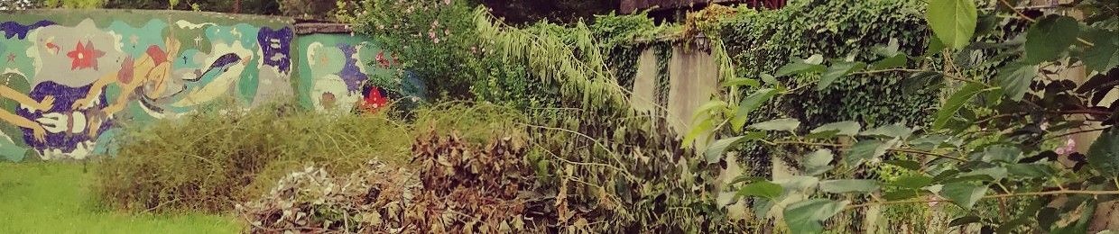 მილა სამსონიძე