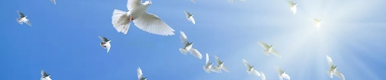 White Doves